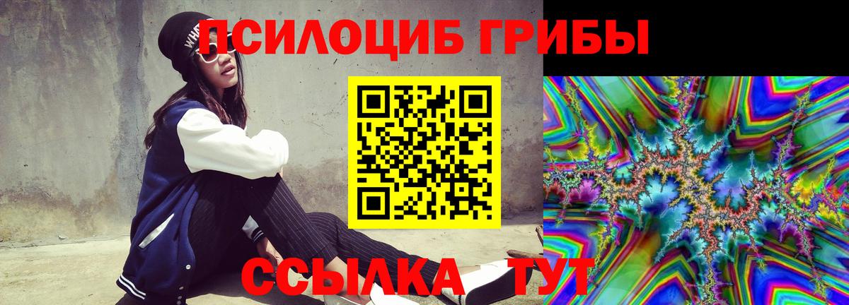 Псилоцибиновые грибы мицелий  Вход с VPN  Черняховск 